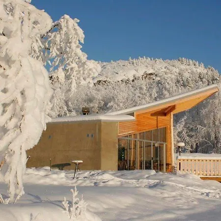 Sollia Kirkenes